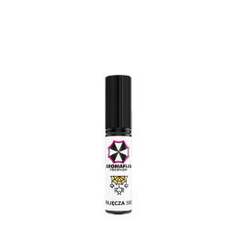 Aroma Professional 15ml - Pajęcza Sieć