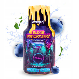 ELIXIR PANORAMIXA - Blueberry Cookies 100ml