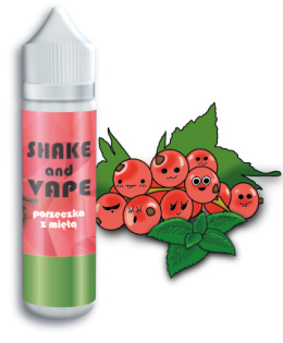 SHAKE AND VAPE 50/60ml - Porzeczka z Miętą