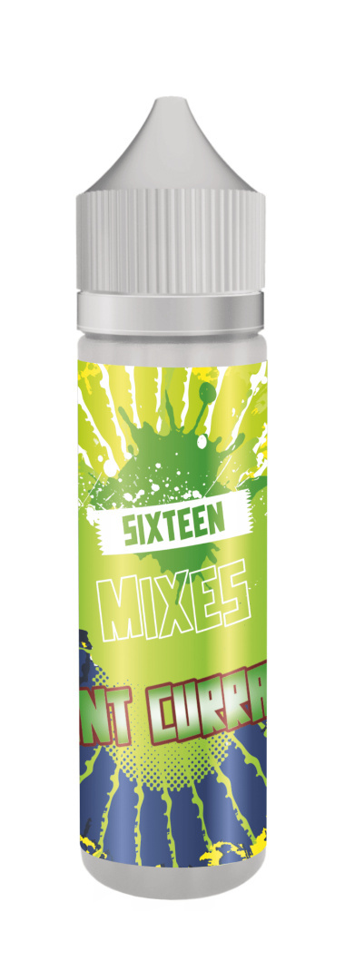 SIXTEEN MIXES 40/60 - Mint Currant